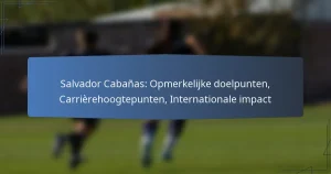 Salvador Cabañas: Opmerkelijke doelpunten, Carrièrehoogtepunten, Internationale impact